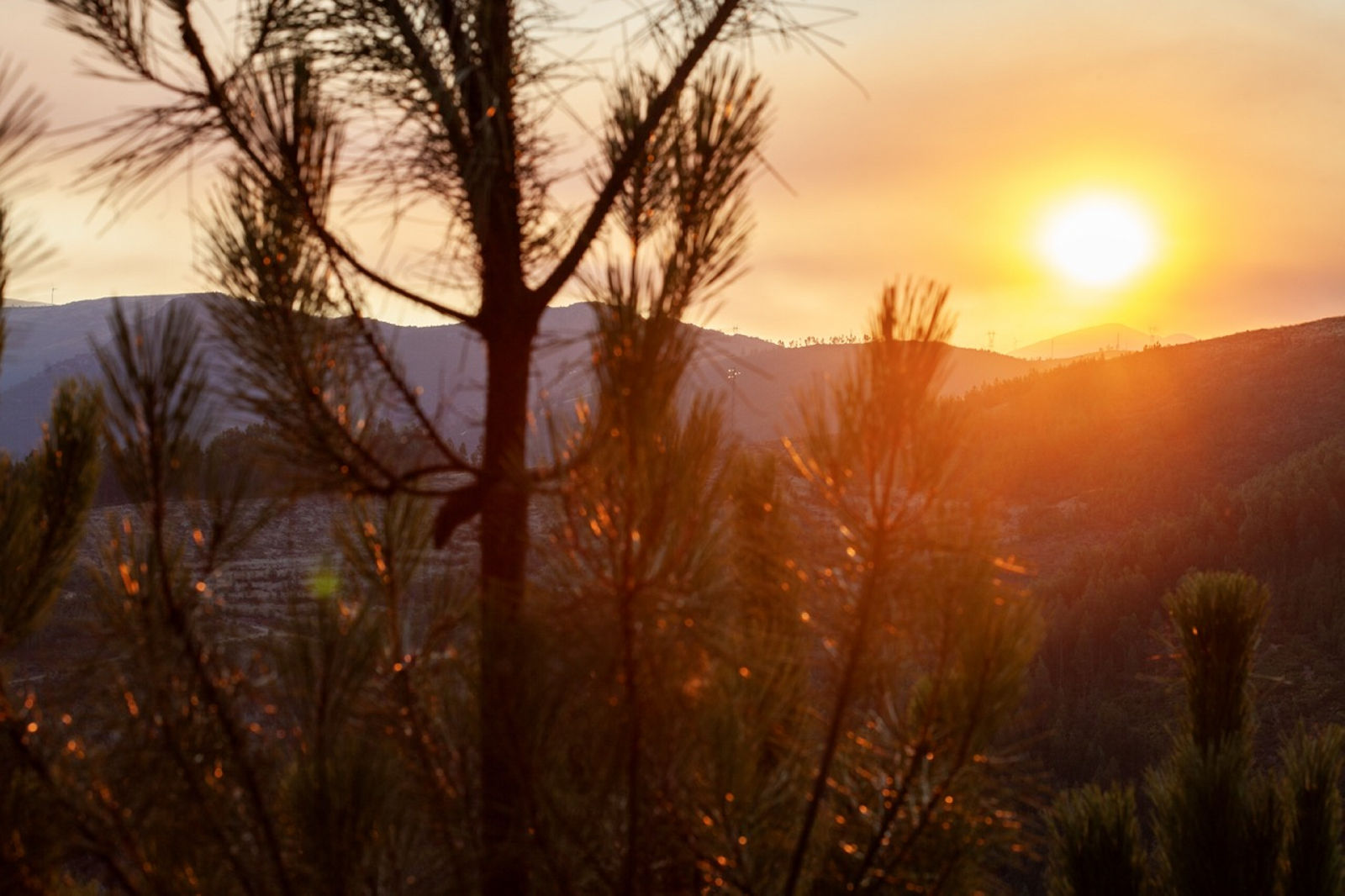 216 Old Montauk Highway, Montauk