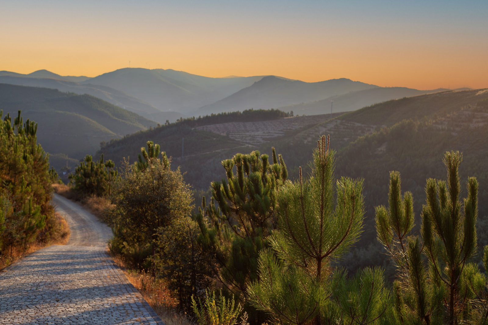 74 Old Barn Lane, Sagaponack