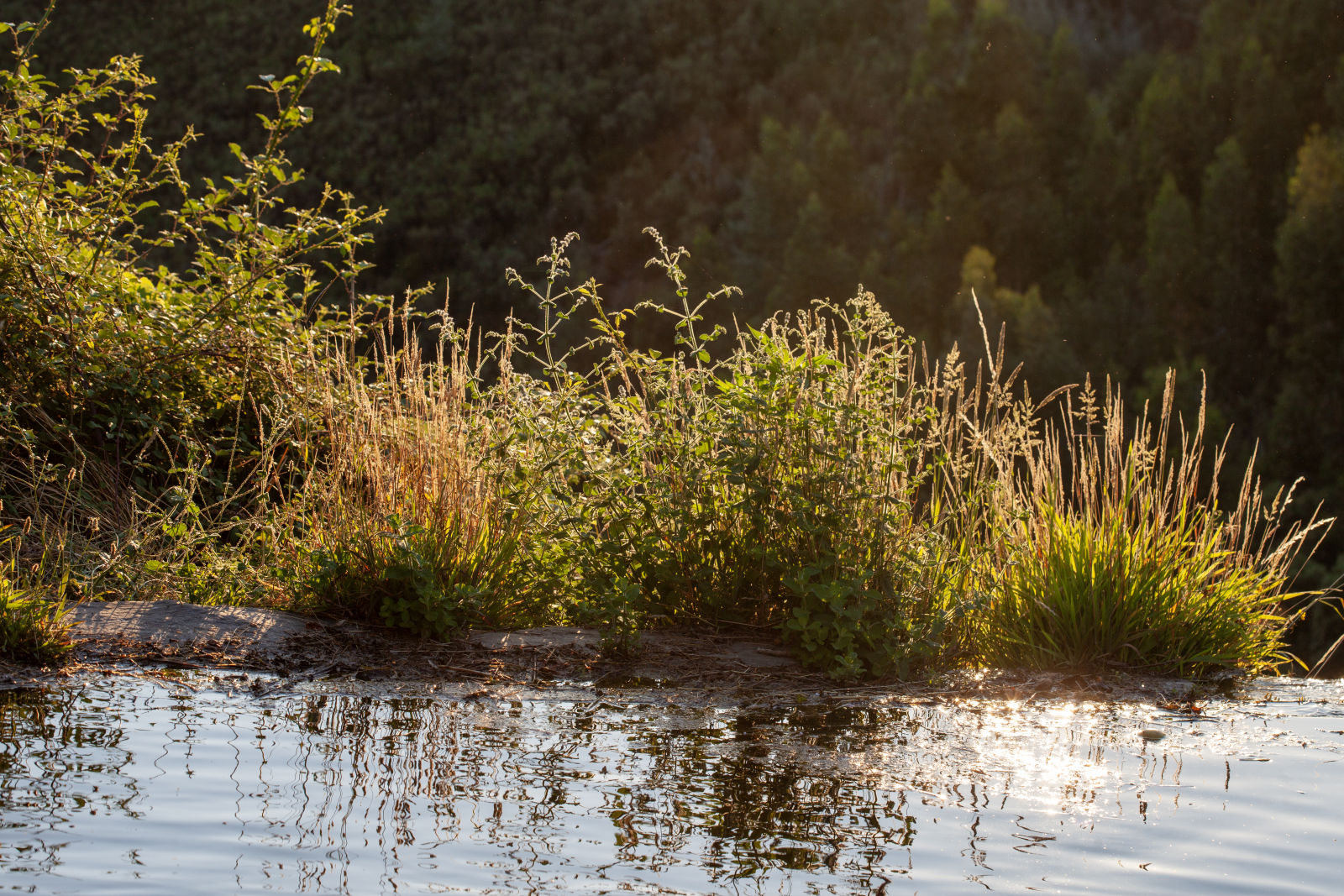 8 Studio Lane, Southampton