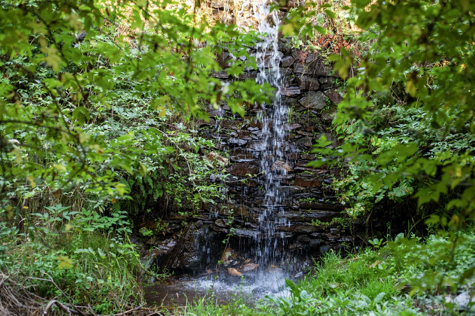 8 Studio Lane, Southampton